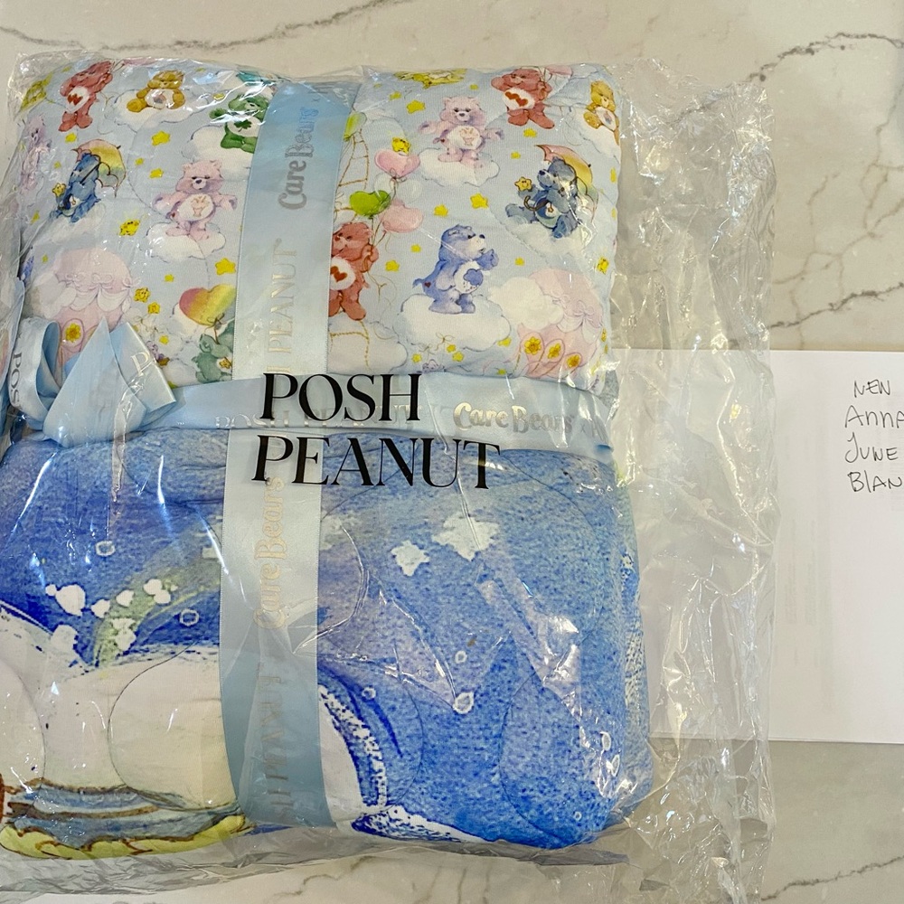 Posh peanut Care Bears quilt patoo